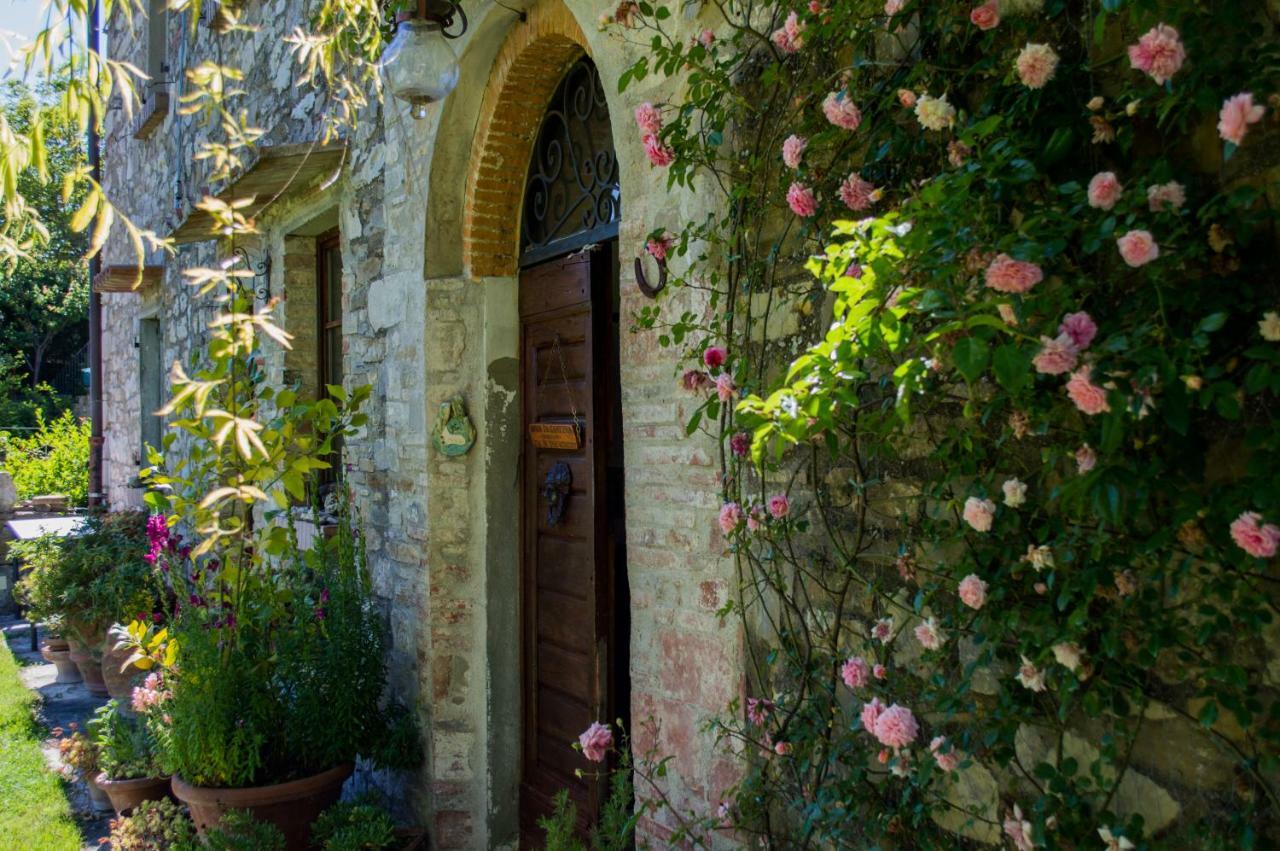 בארברינו די ואל ד'אלסה Agriturismo Montecorboli מראה חיצוני תמונה