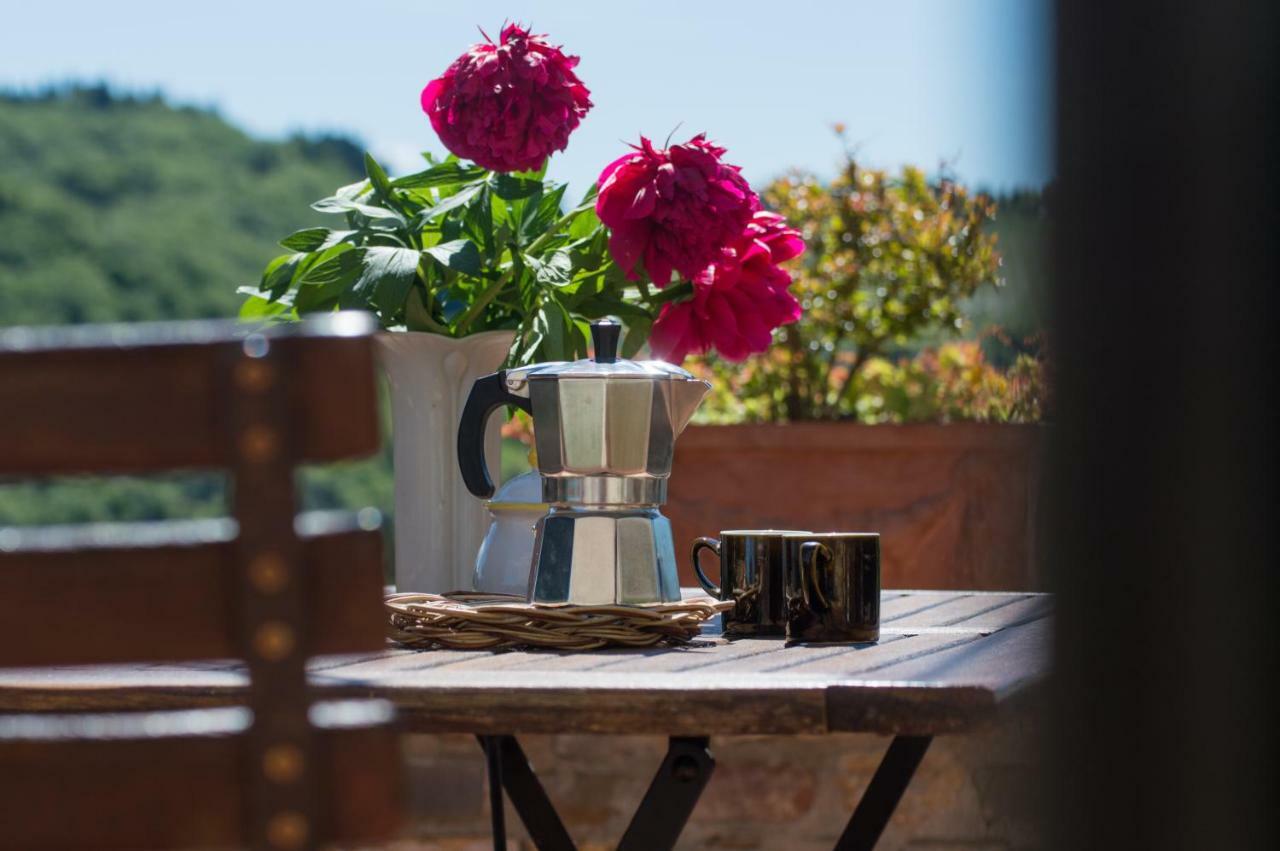 בארברינו די ואל ד'אלסה Agriturismo Montecorboli מראה חיצוני תמונה